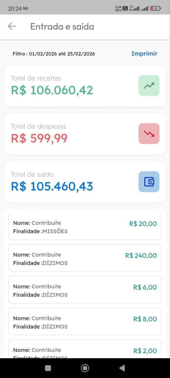 Entrada e Saída Organiza PIx