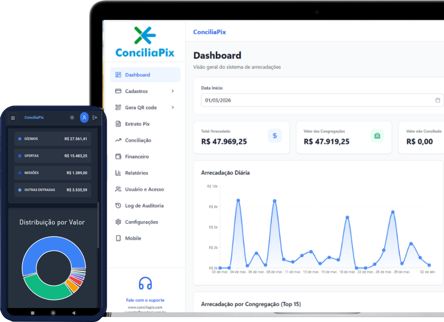 Profissional Organiza PIx